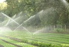 Continelandscaping-water-management-and-drainage-17.jpg; ?>